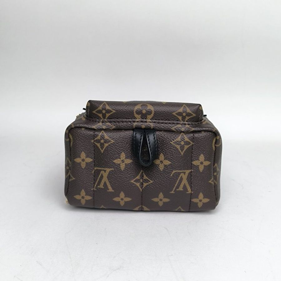 LOUIS VUITTON PalmSprings小書包Mini17新款拉鏈外露老花PVC晶片肩背包-4