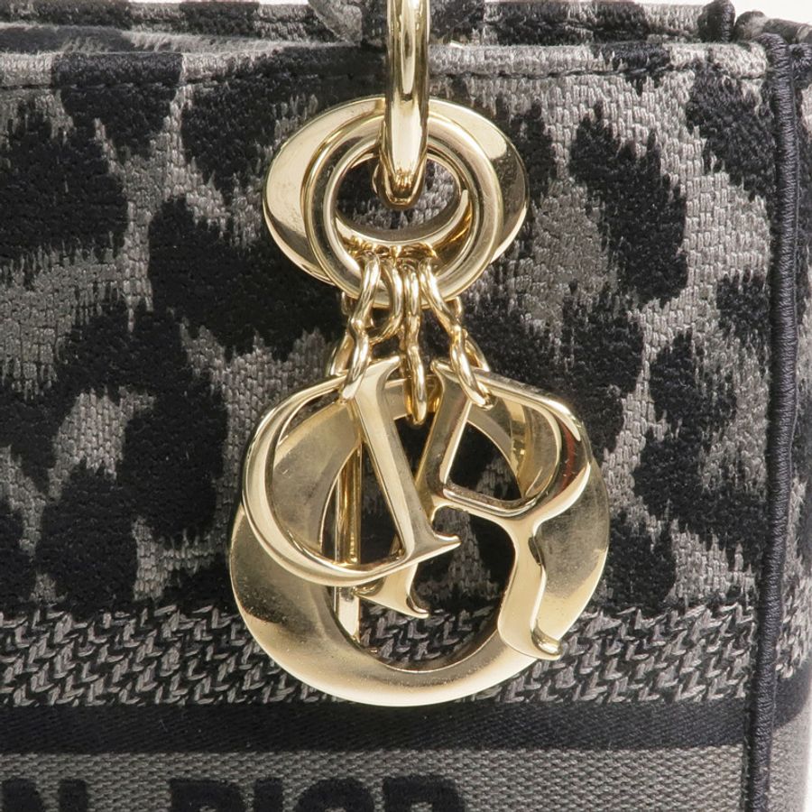 Dior 帆布Lady D-Lite金扣手挽肩背兩用袋-9