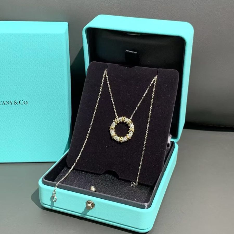 tiffany蒂芙尼 sixteen stone系列18k黃金×鉑金十六石鑽石項鍊 ,25年購入-3