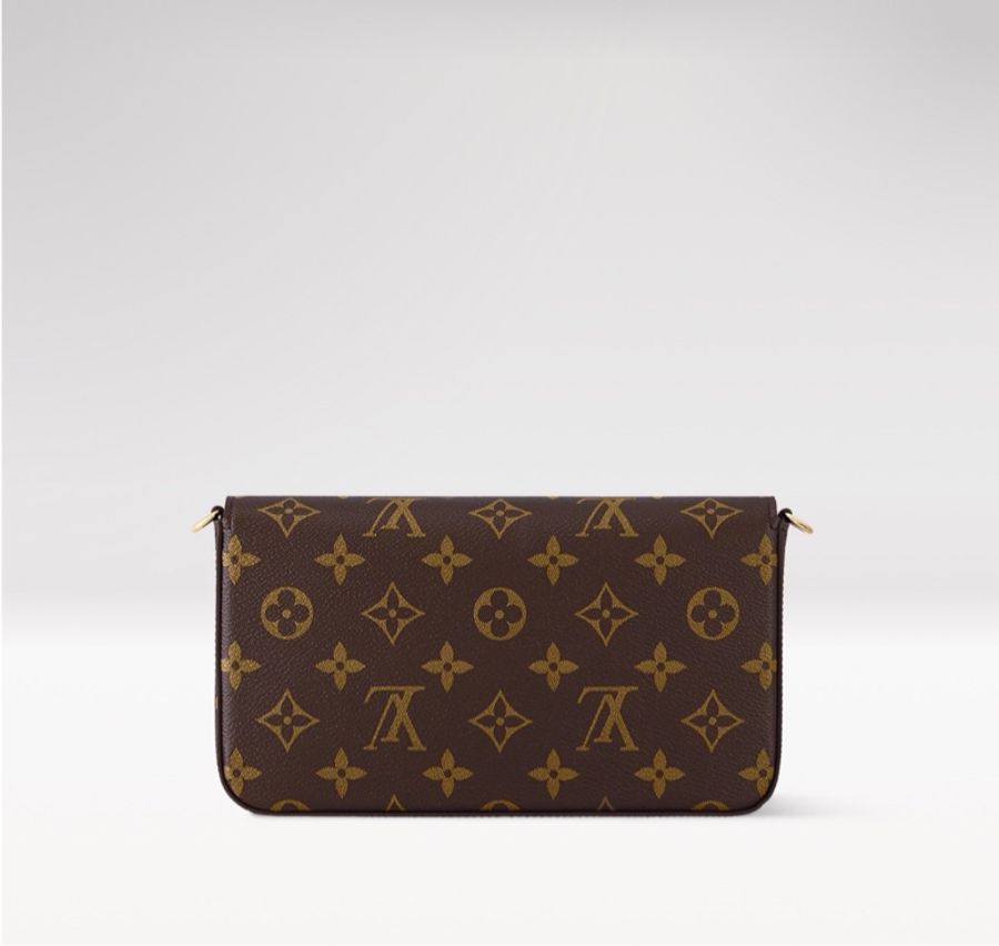 LV 全新 🔥 現貨Felicie Pochette WOC M81896 (B06)-4