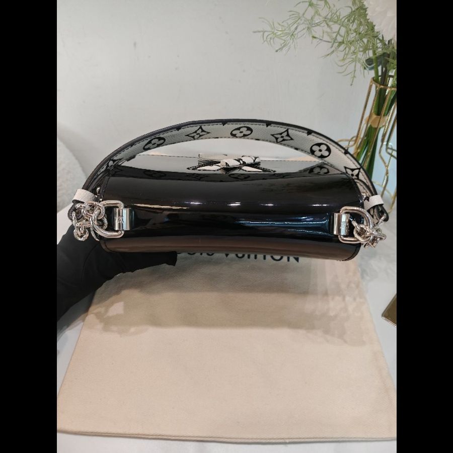 Louis Vuitton twist small bag-10