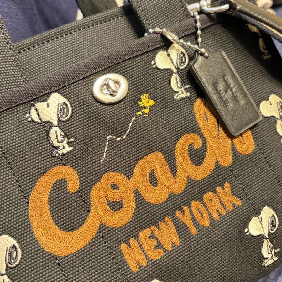 Coach 聯名Snoopy 刺繡帆布托特包 二手-0