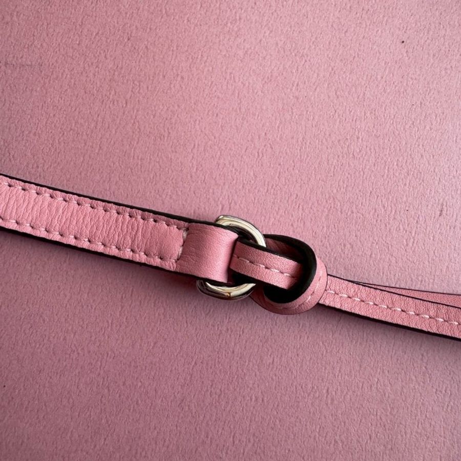 Loewe x 聯名Paula's Ibiza百合印花小牛皮可愛大象包-12