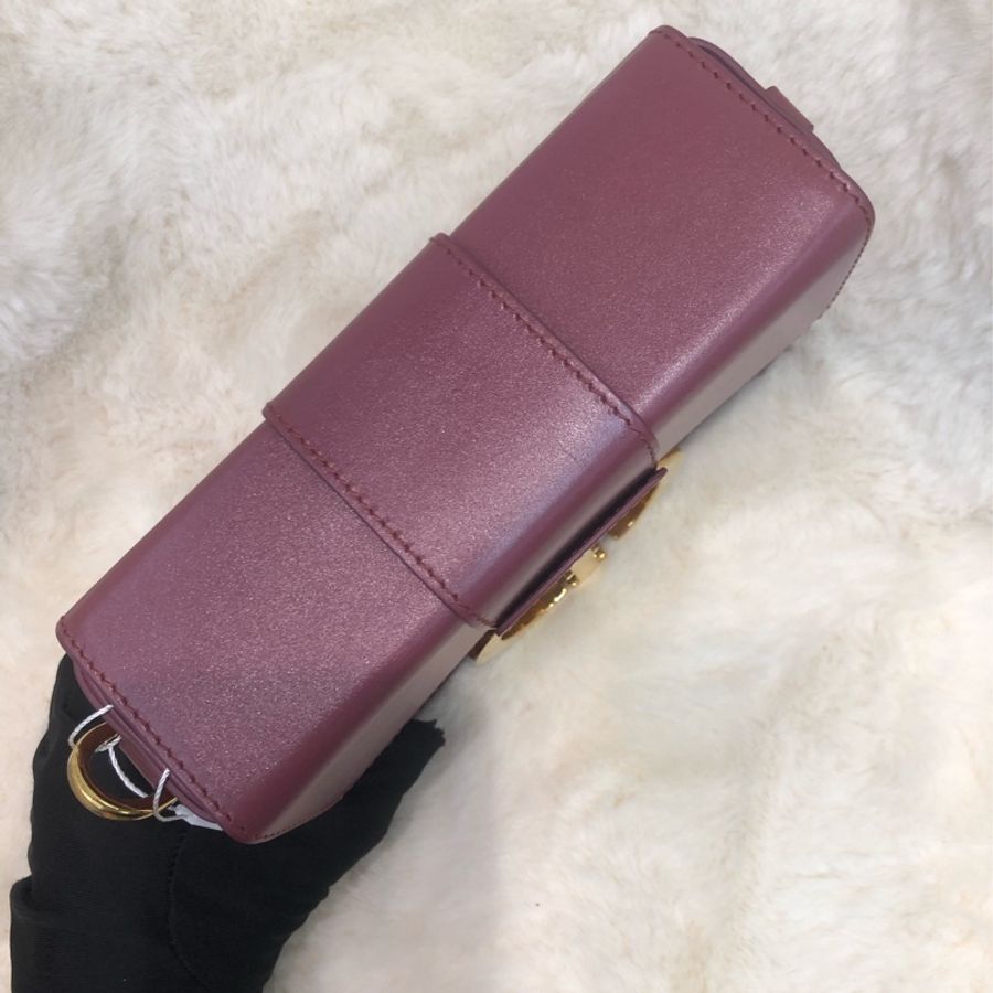 Dior 棗紅色蒙田相機袋 XC195-5