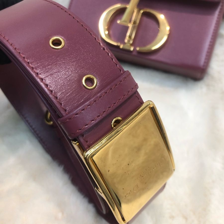 Dior 棗紅色蒙田相機袋 XC195-9