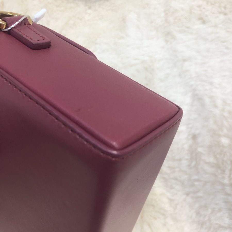 Dior 棗紅色蒙田相機袋 XC195-12