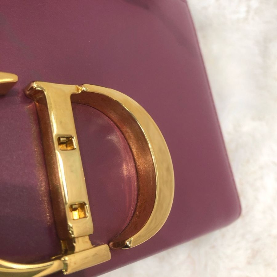 Dior 棗紅色蒙田相機袋 XC195-17