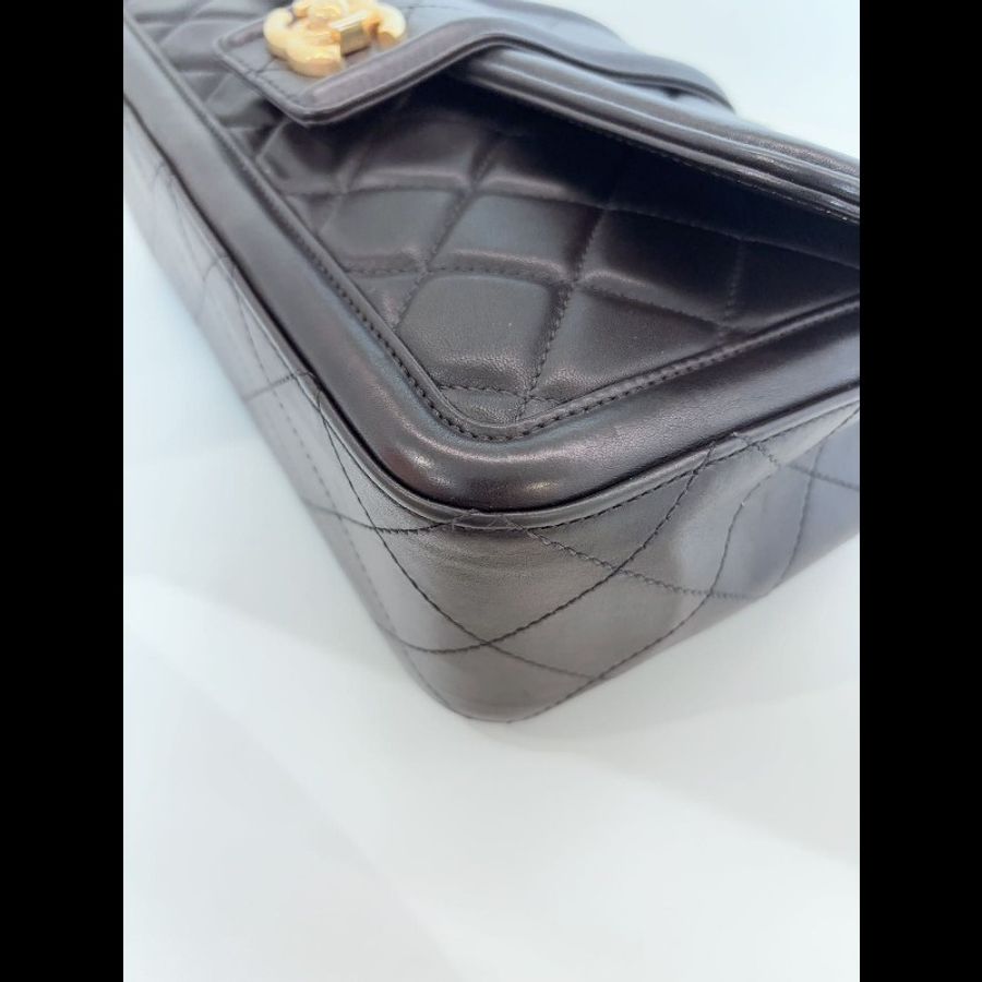 Chanel seasonal classic flap
Medium-10