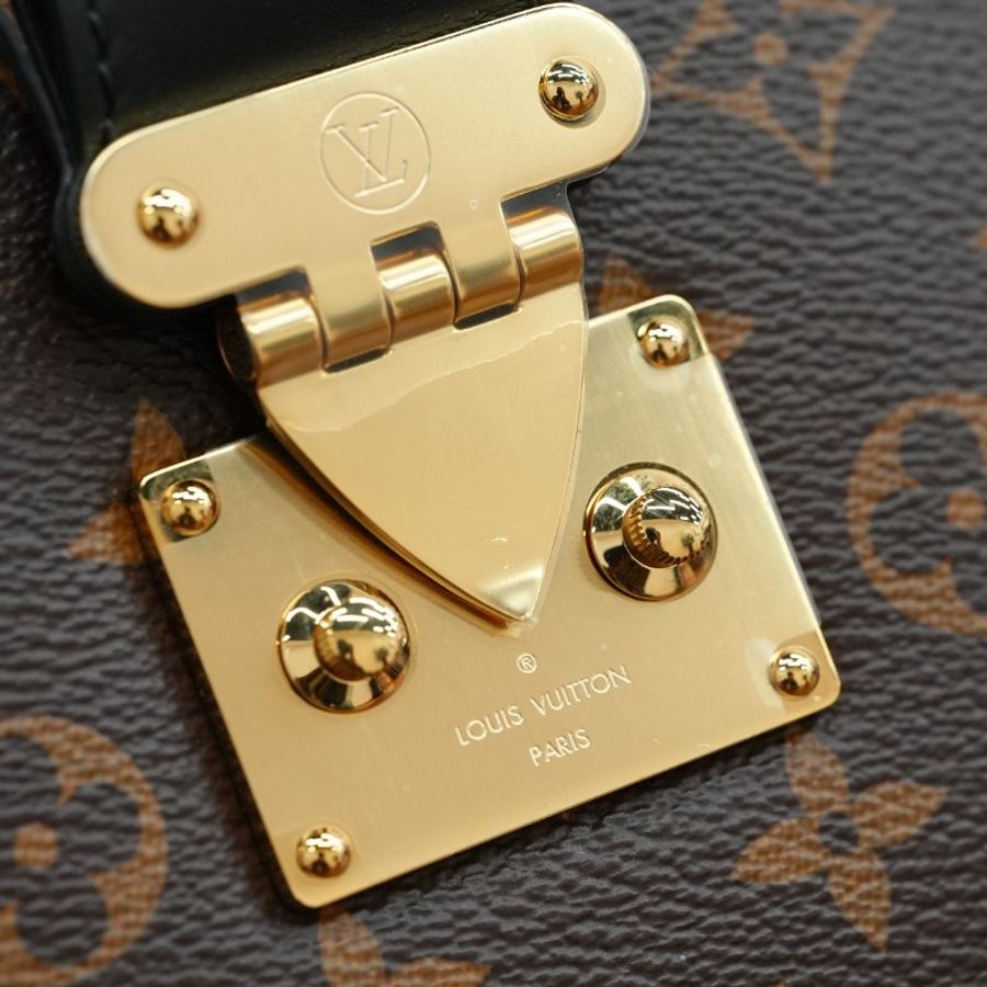近全新 LouisVuitton/路易威登 Twinny 拼色牛角包 鏈條肩背包-13