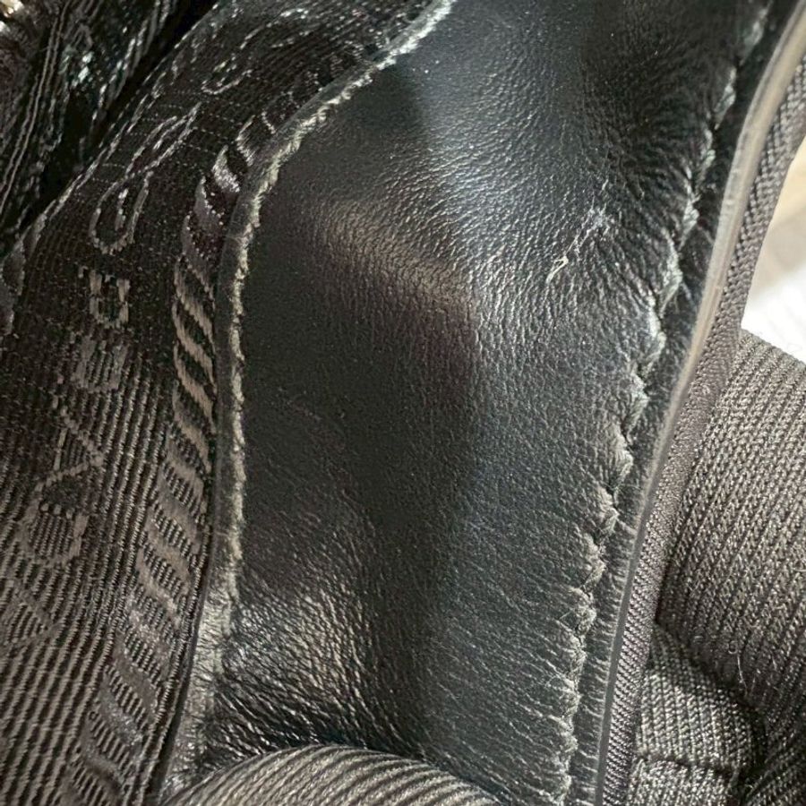 Prada Moon Bag-28