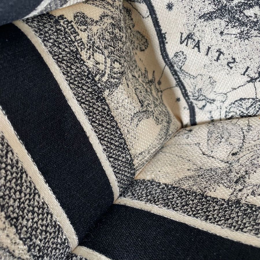 Dior book tote 星座刺繡系列(中號)-15