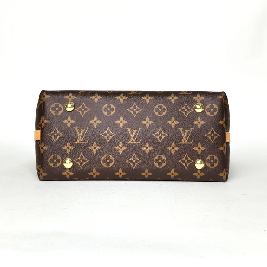 LOUIS VUITTON CARRYALL小號29配子袋老花PVC肩背包金扣晶片-3
