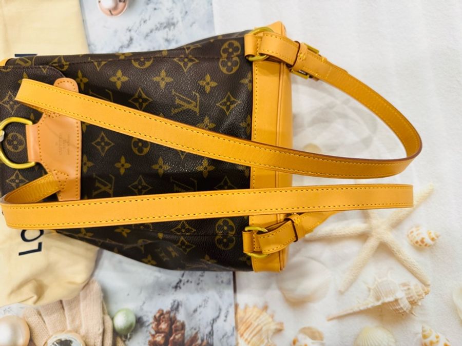 LV老花迷你雙肩包 LV 後背包-22