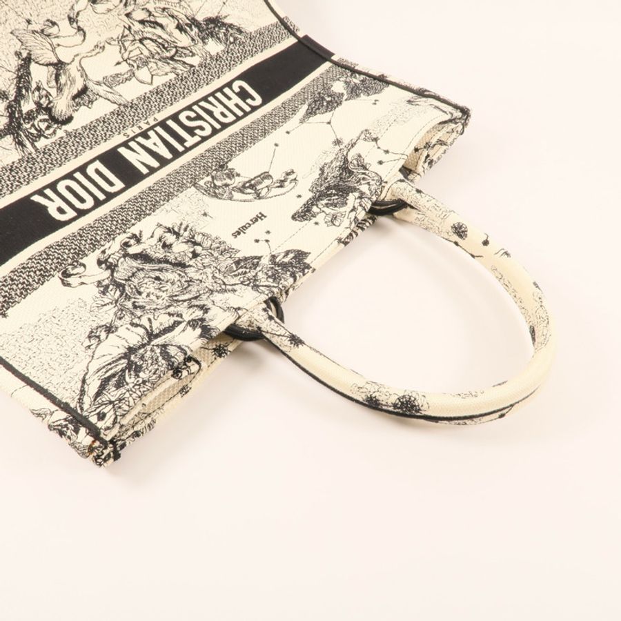 Dior 帆布Book Tote Large肩背袋-4