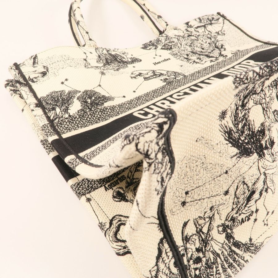 Dior 帆布Book Tote Large肩背袋-6