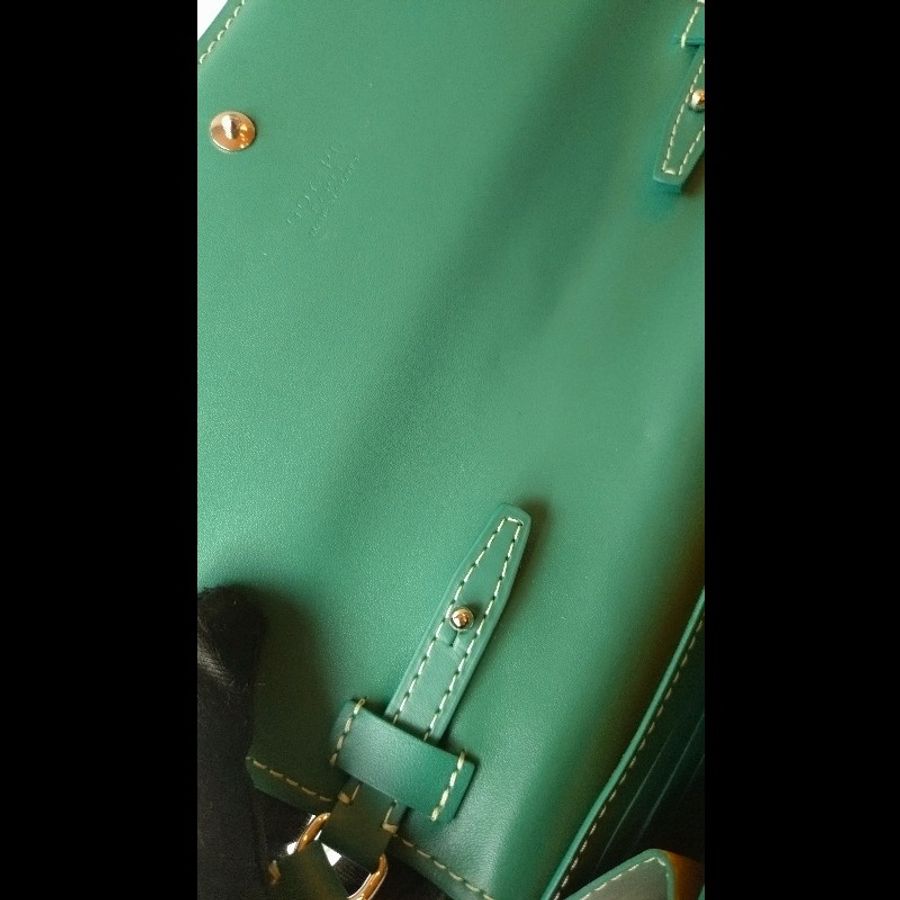 Goyard 綠色印花下蓋小斜背包 verenne continental wallet-11