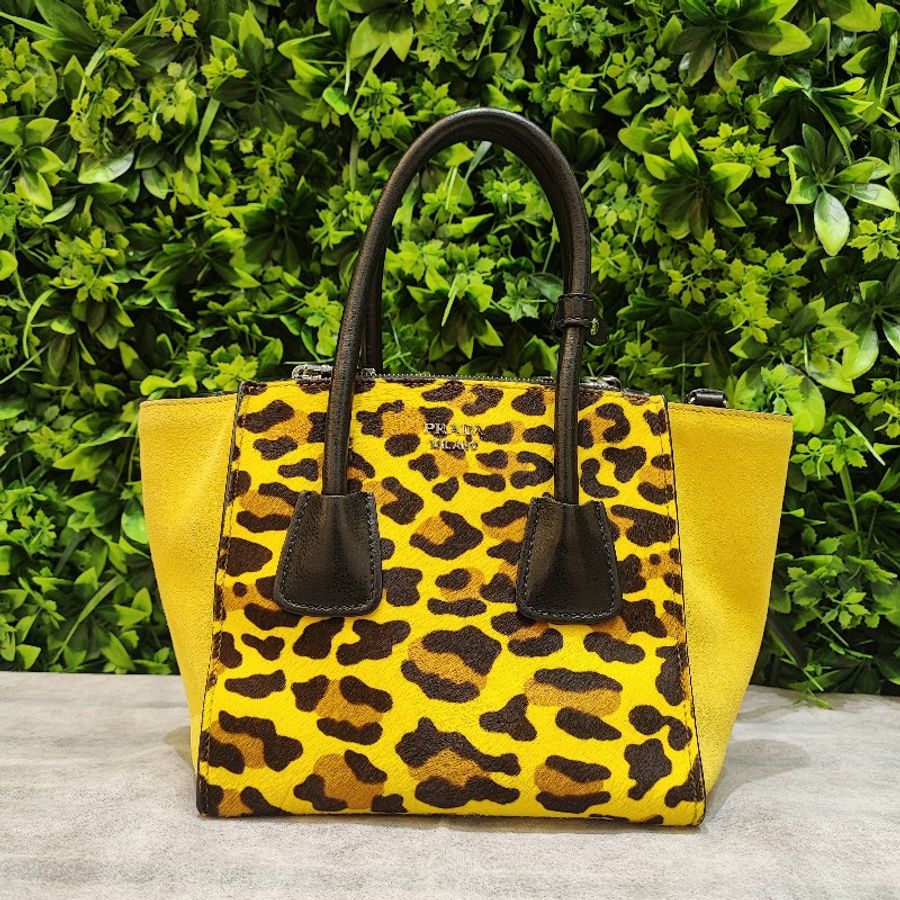 Prada 2 Way Hand Bag-1