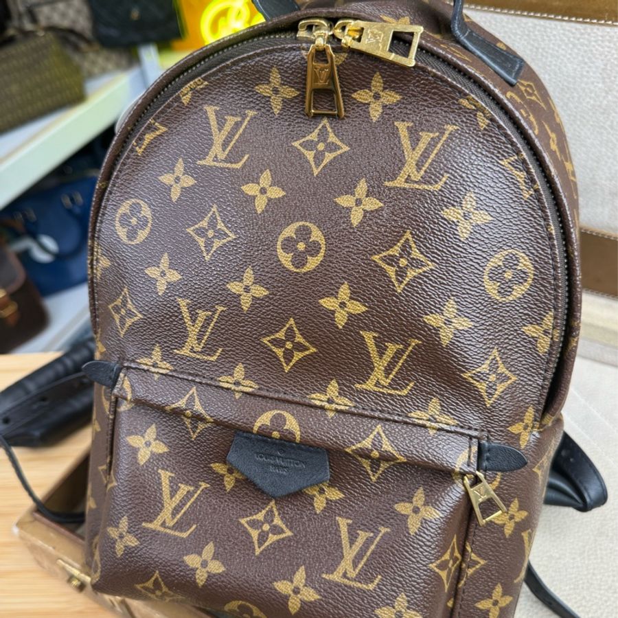 Louis Vuitton 老花Palm Springs 小款後背包⛰️多年夯款-2