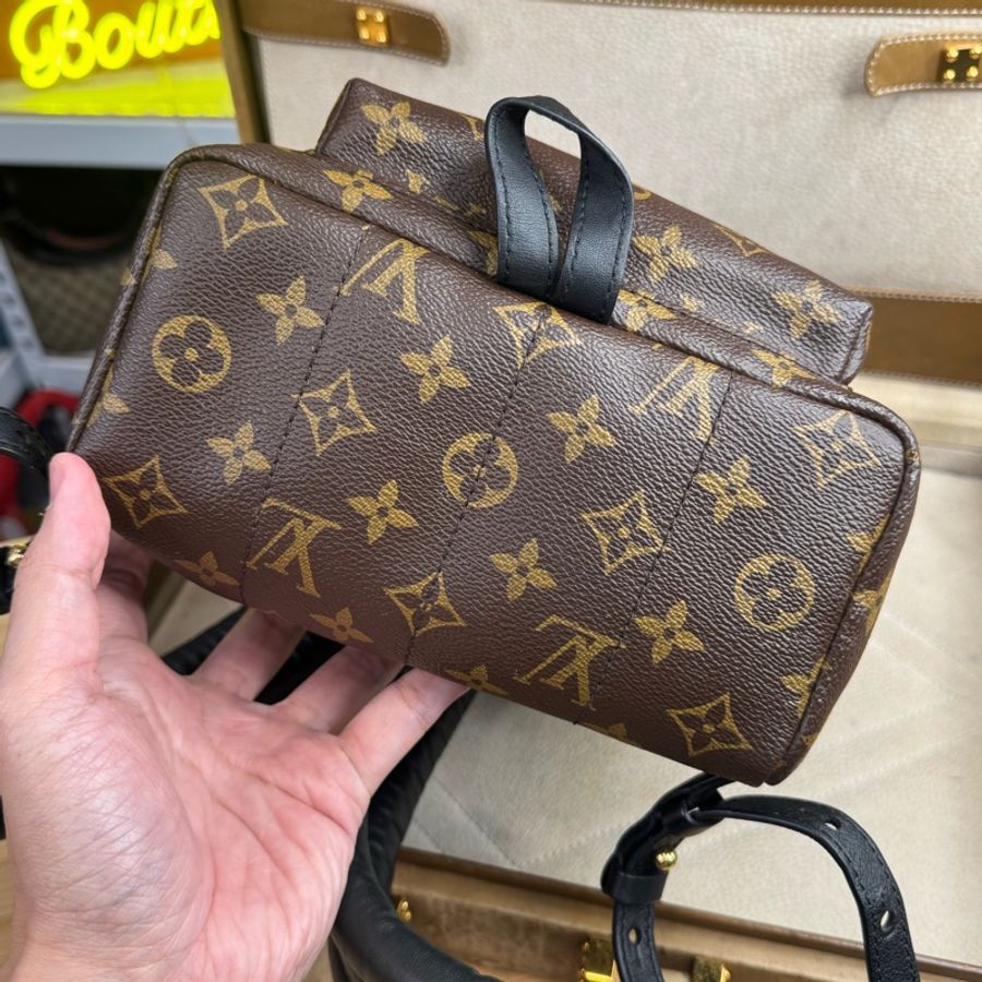 Louis Vuitton 老花Palm Springs 小款後背包⛰️多年夯款-7