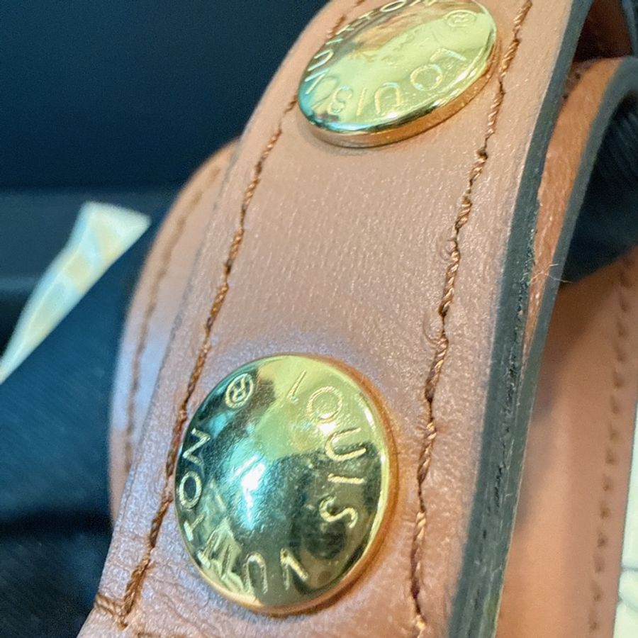 未拆膜✨Louis Vuitton✨Lv達芙尼Dauphine單肩包斜背包芯片款 小號-38