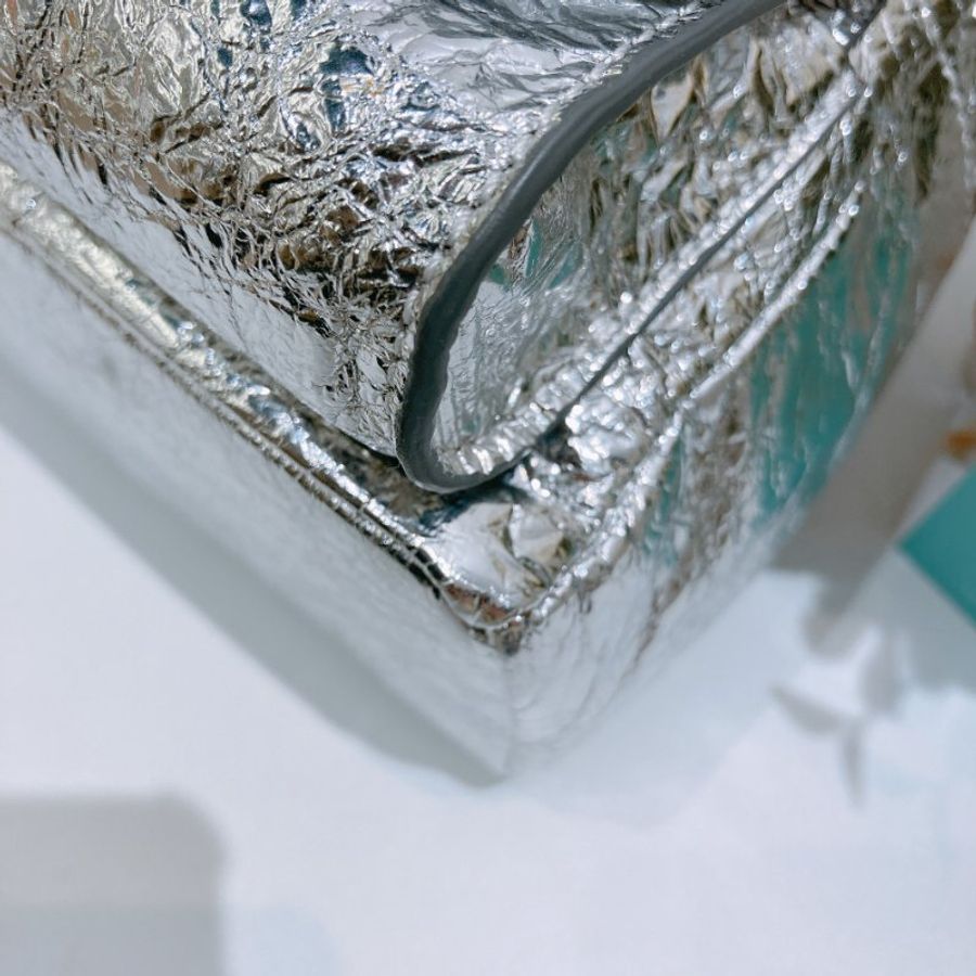 2227Jimmy Choo Mini Backpack Sliver-27