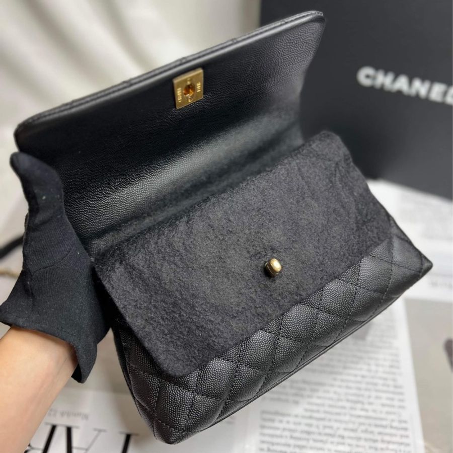 香奈兒(Chanel)Coco Handle蜥蜴皮24黃金尺寸-7