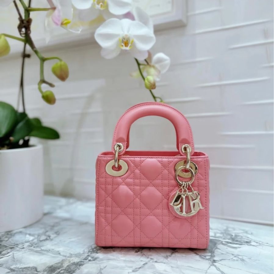 超美❤️ Dior #lady #乾燥玫瑰粉 #戴妃包 #三格-1