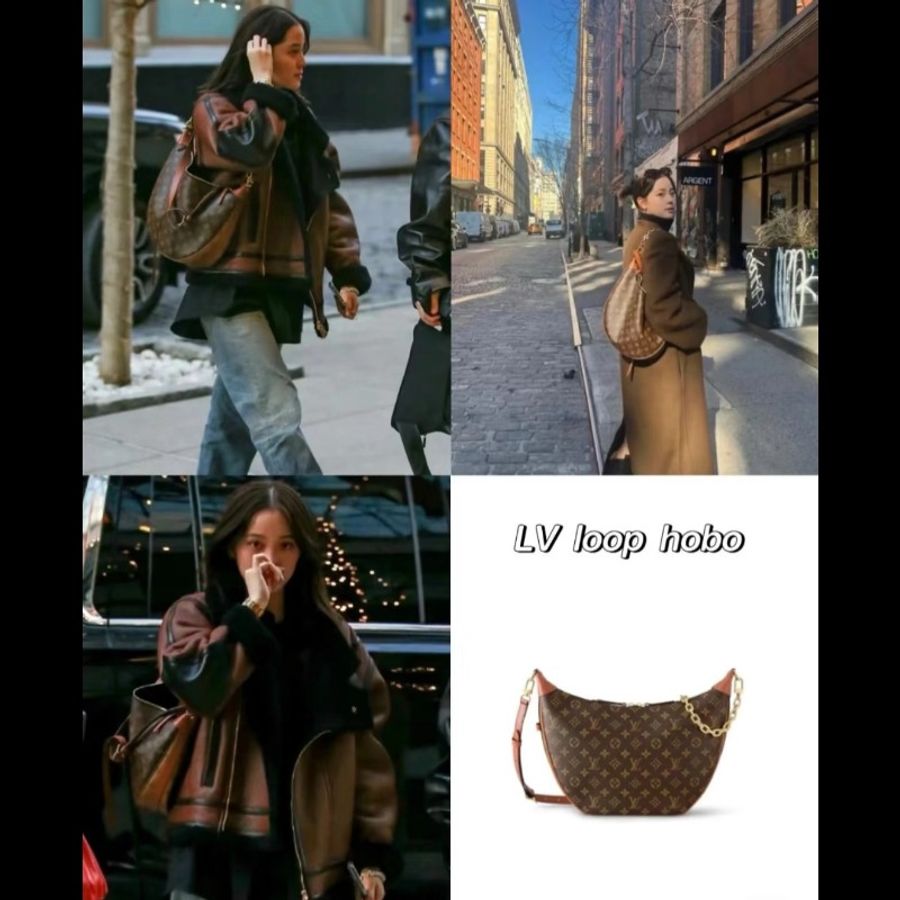 LV 路易威登 Loop hobo GM 大款老花月亮包 碗豆包🌙 經典與容量的完美結合-4