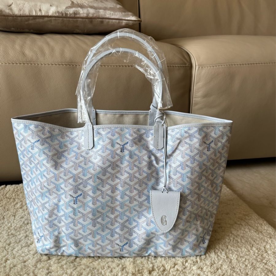 Goyard Louis pm 2026限量色 冰川藍-7
