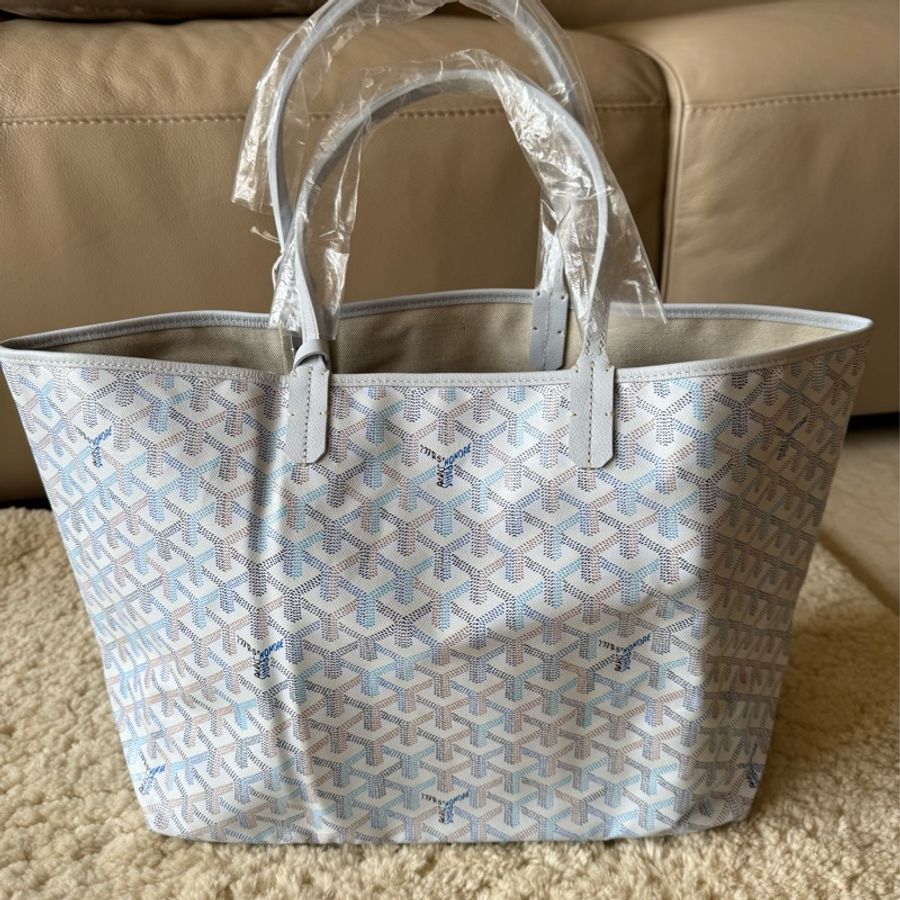 Goyard Louis pm 2026限量色 冰川藍-9