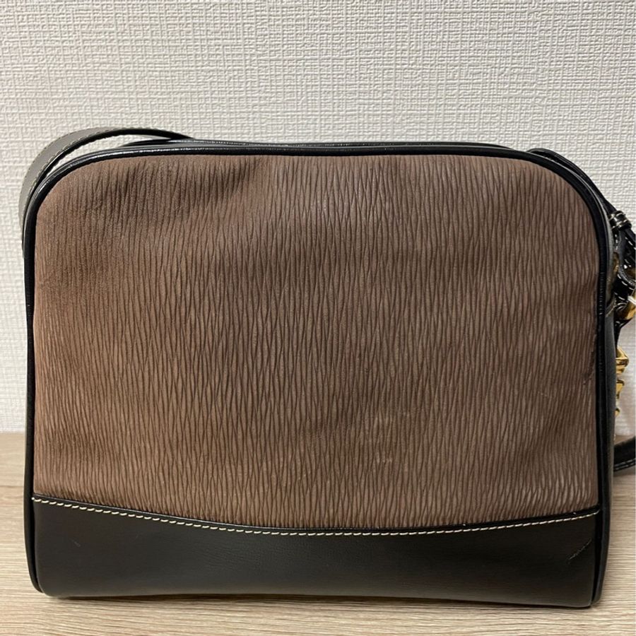Loewe 栗子色金蛇骨斜背包-3