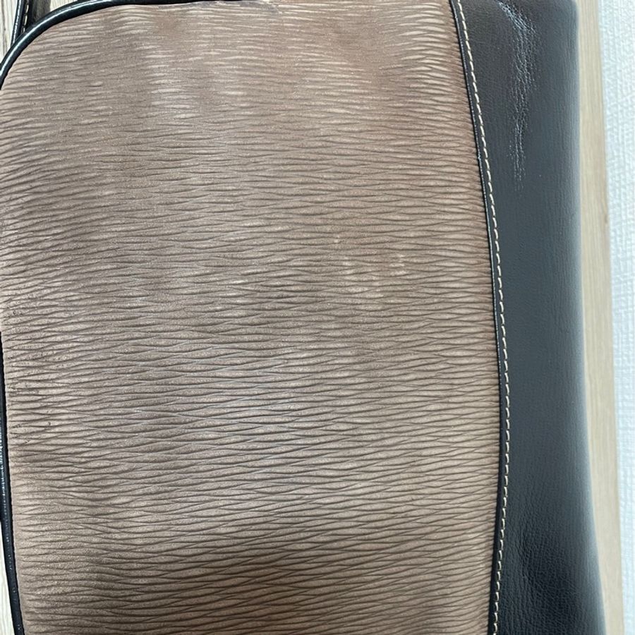 Loewe 栗子色金蛇骨斜背包-6