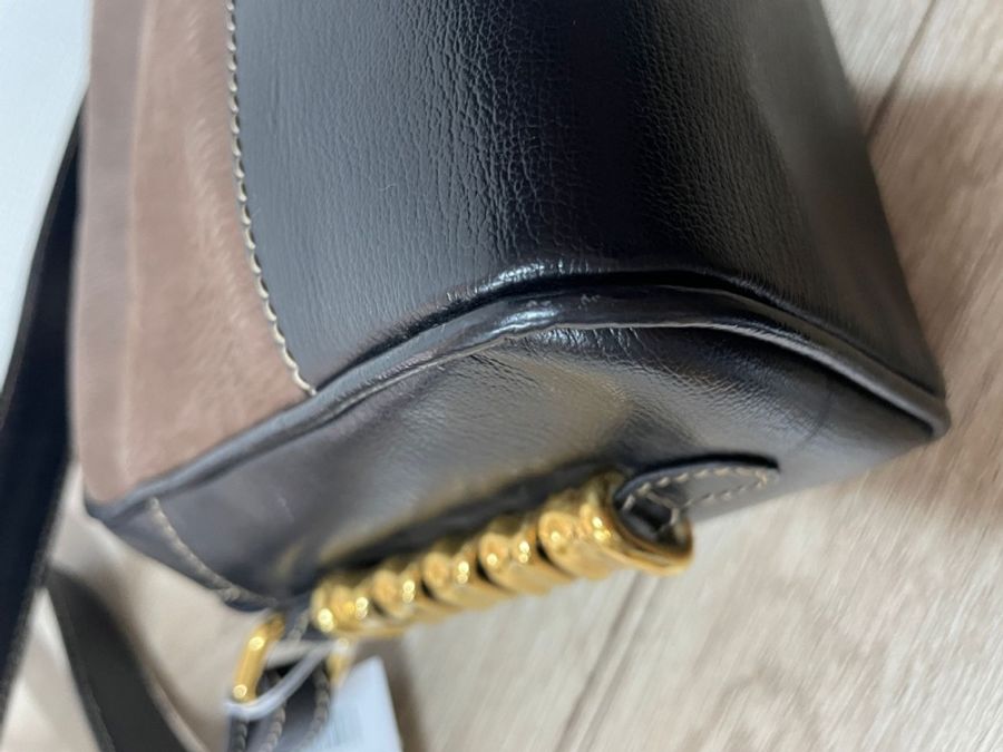 Loewe 栗子色金蛇骨斜背包-11