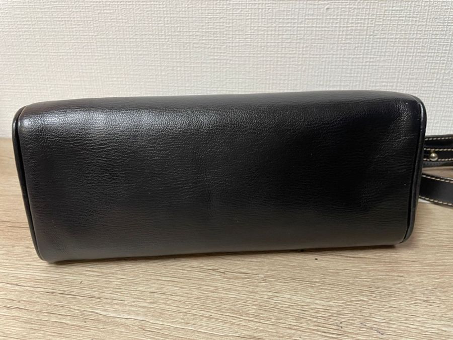 Loewe 栗子色金蛇骨斜背包-15