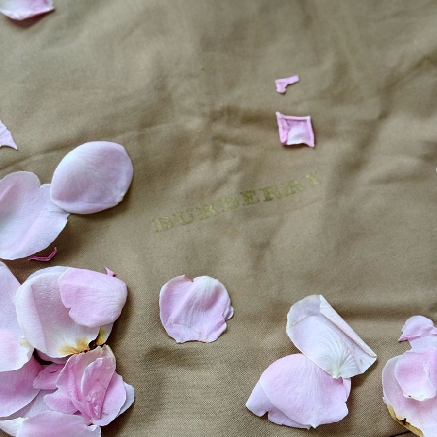 Burberry 乾燥玫瑰色斜背包💓-4