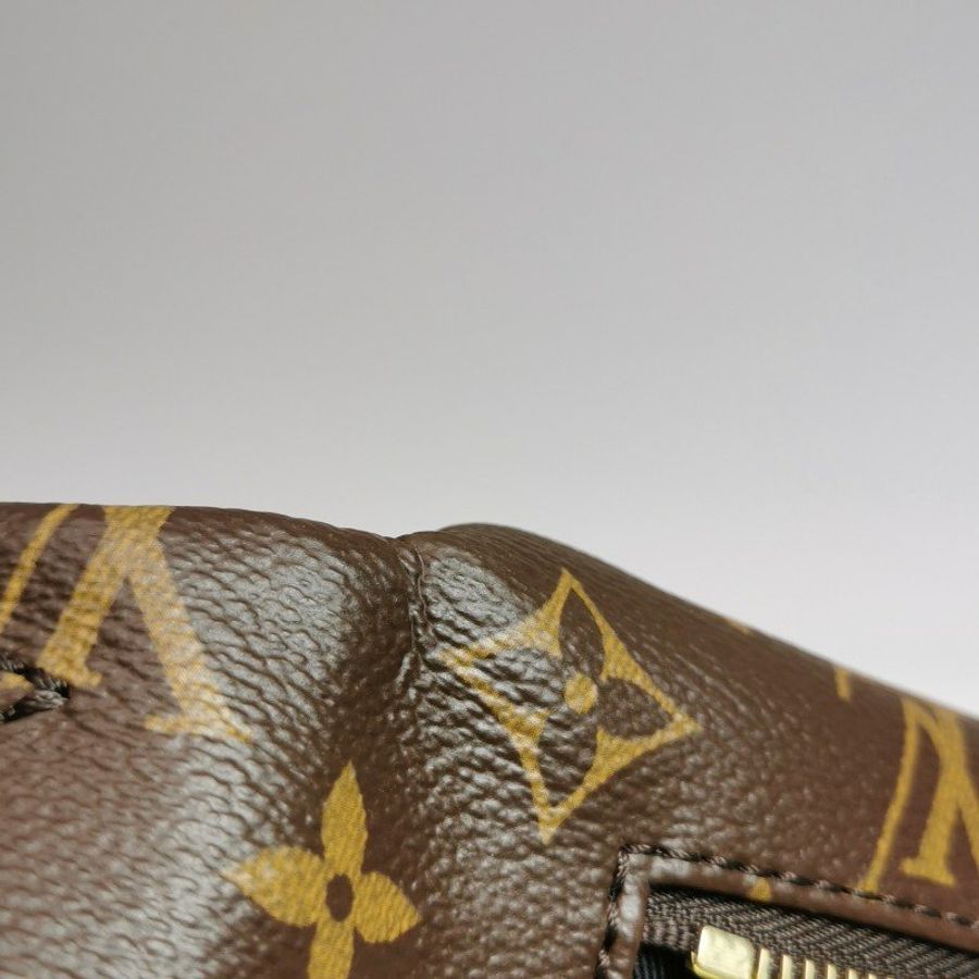 Louis Vuitton(LV)Bumbag植鞣老花Logo標誌腰包胸包晶片款-17