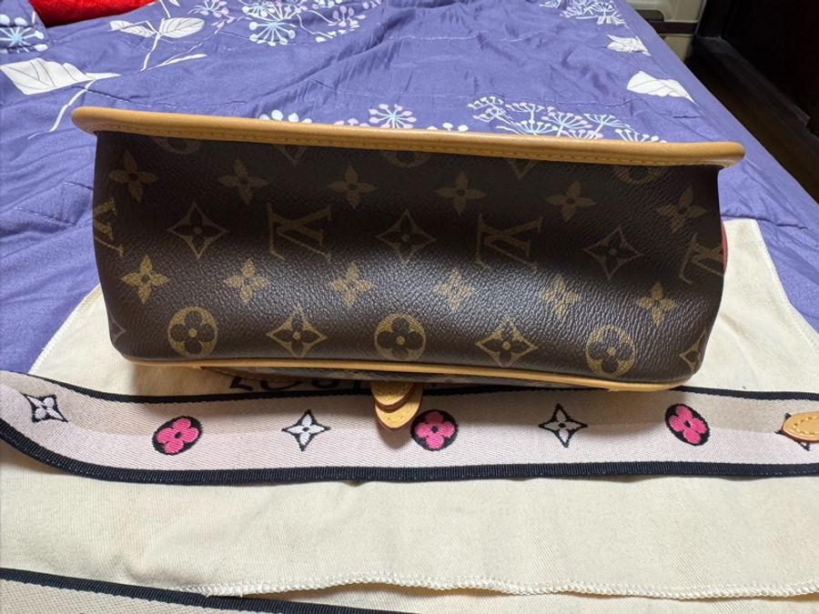 LV Diane法棍包-3