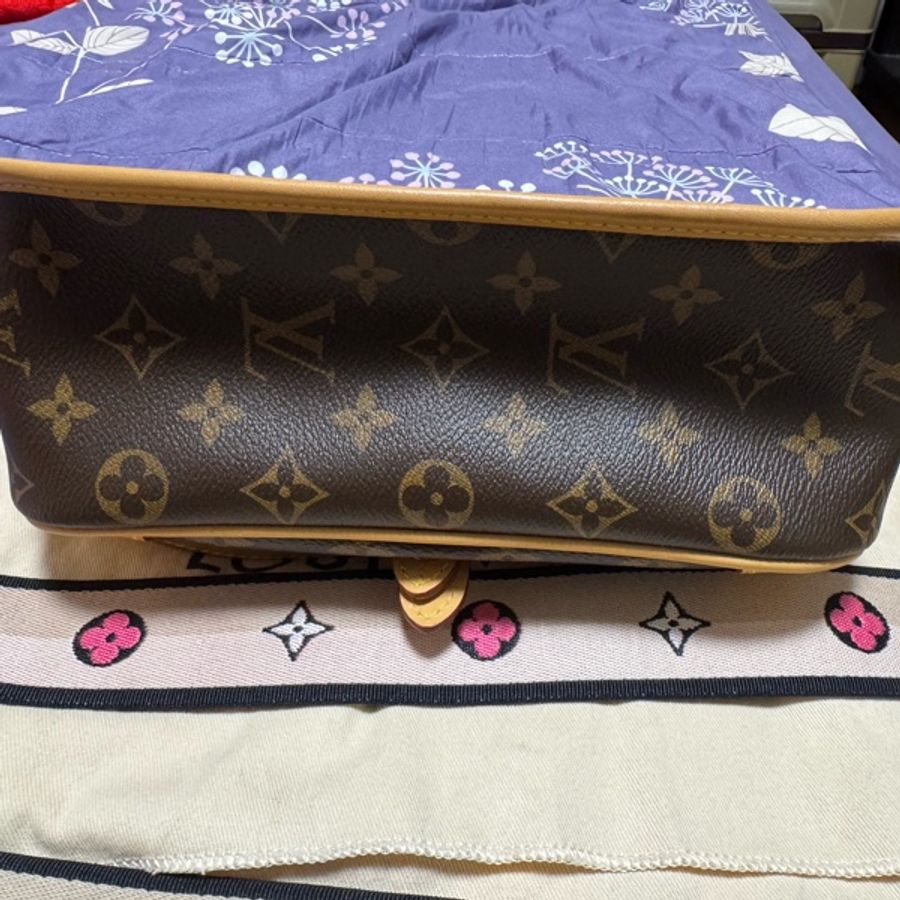 LV Diane法棍包-8
