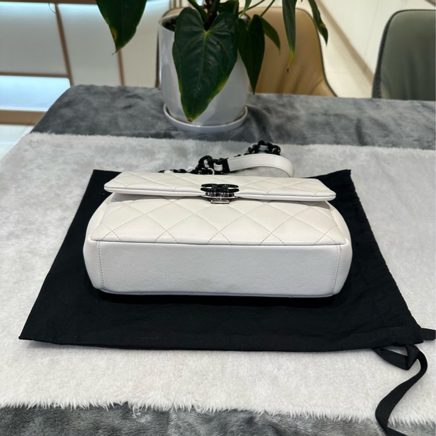 chanel/香奈兒 黑白熊貓荔枝皮牛皮 大mini20 CF鏈條包-5