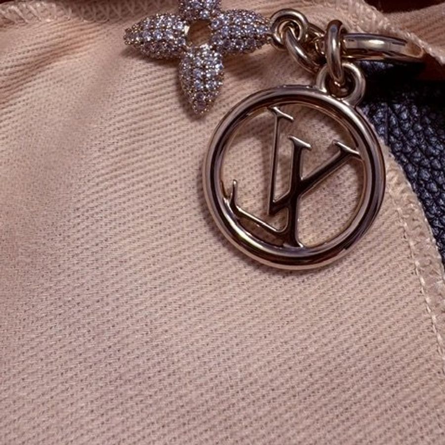 Louis Vuitton 黑色壓紋 Logo 卡片夾、名片夾-4
