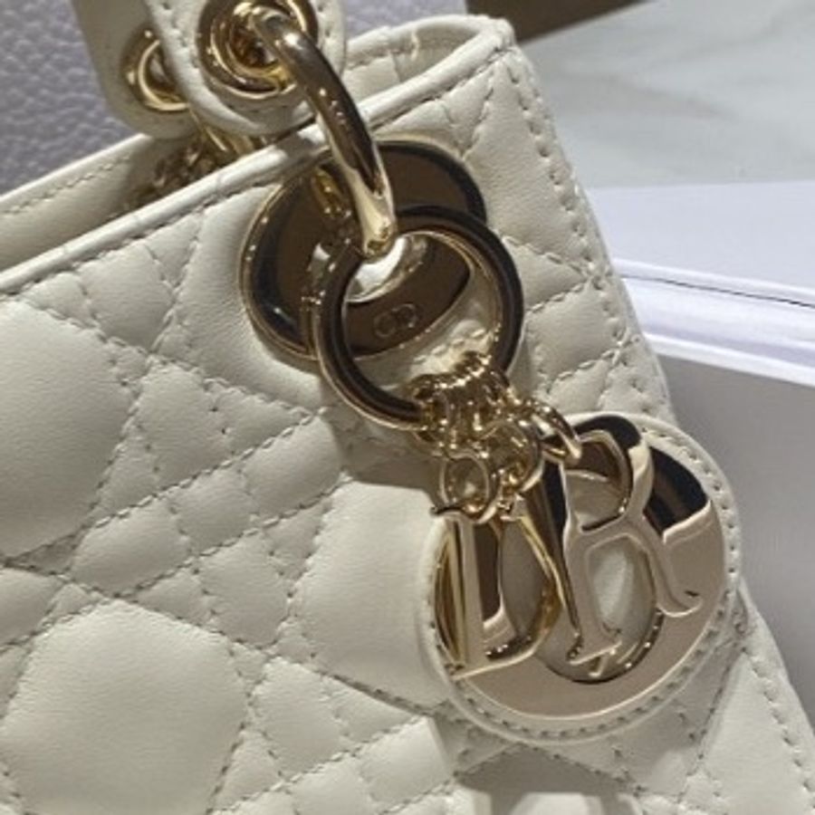 Lady Dior-16