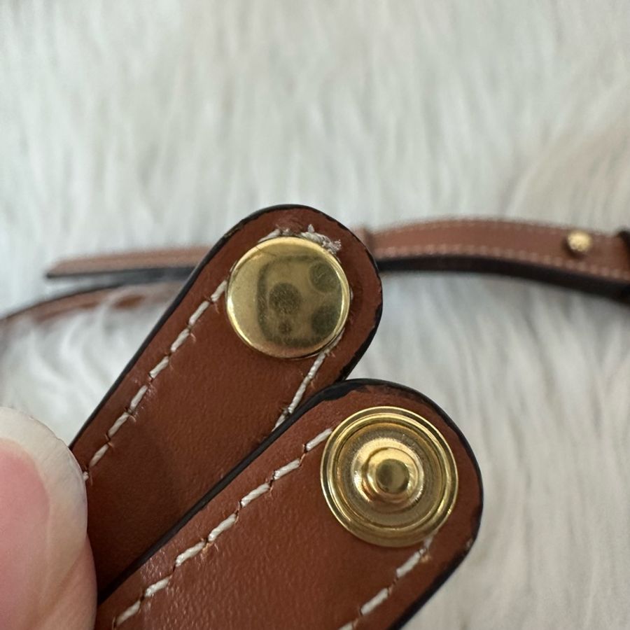 Celine 老花金釦凱旋門迷你斜背包-34