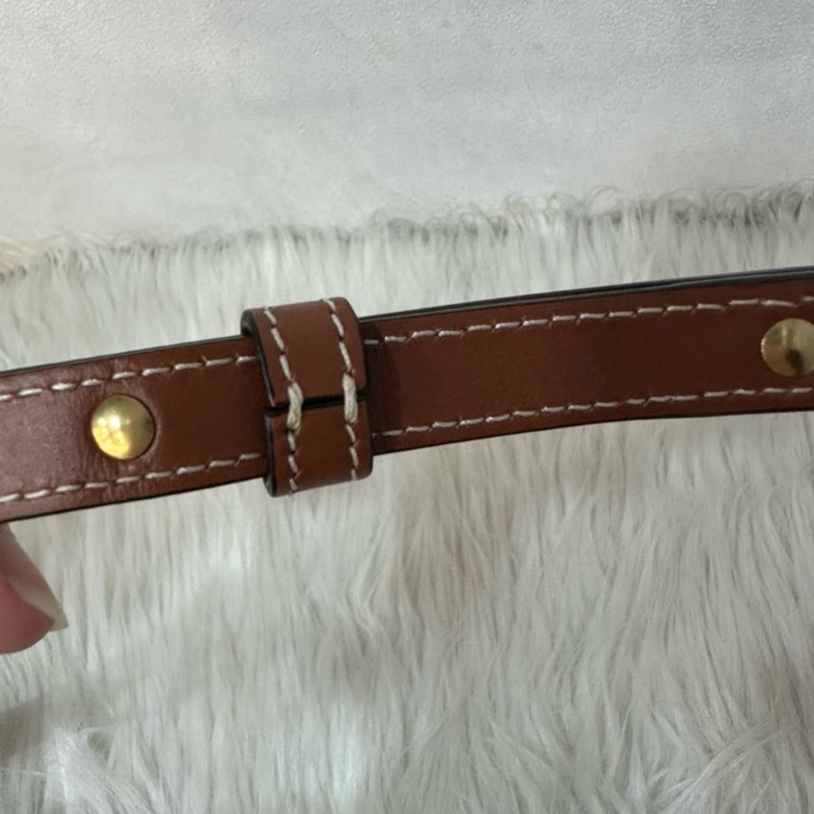 Celine 老花金釦凱旋門迷你斜背包-40