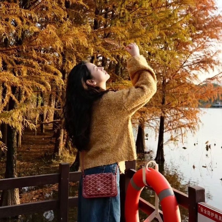 Goyard Plumet woc 紅色 信封包20.5x2.5x14cm  95新 配件塵袋-2