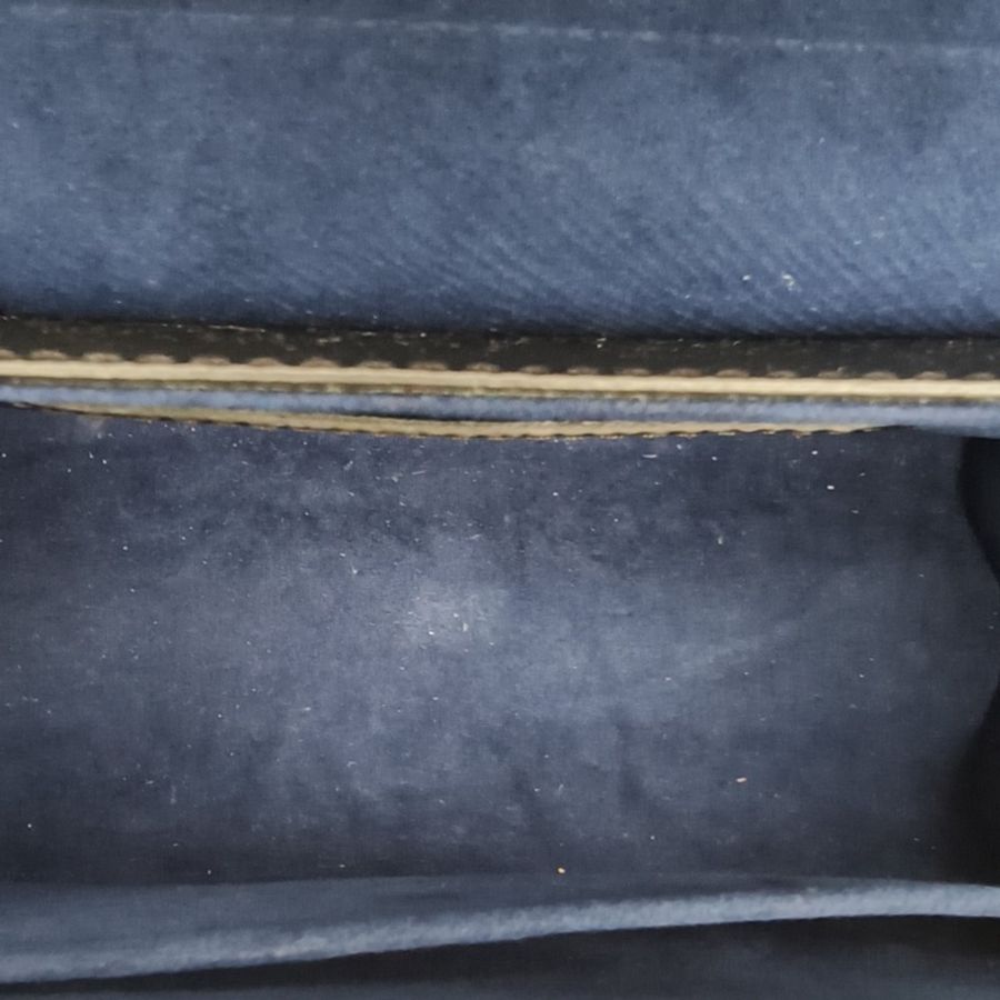 LOUIS VUITTON TWIST中號圖案水波紋牛皮金扣亮片刺繡巨嘴鳥限量款-5
