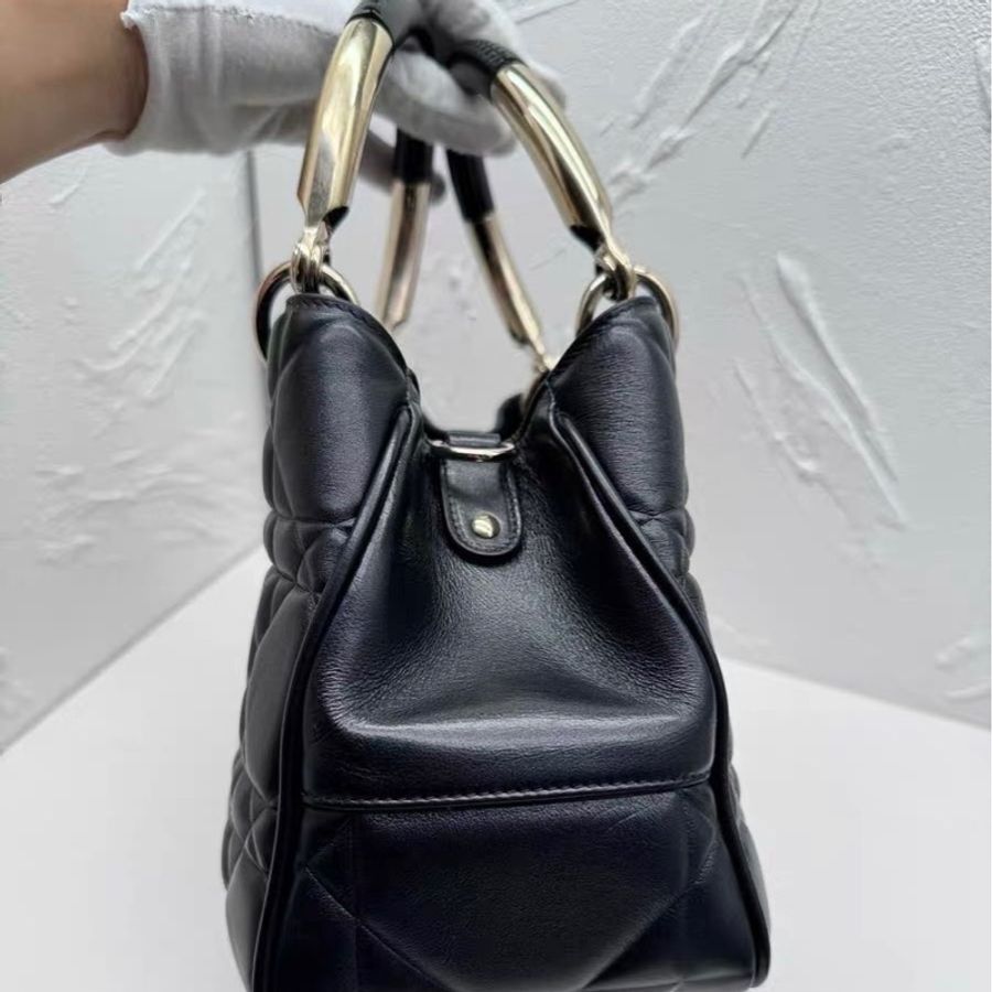 Dior 手柄D-joy 黛妃包 9新配件塵袋-1