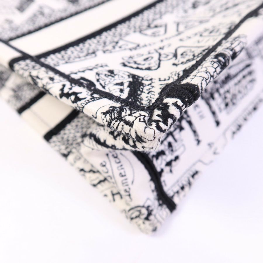 Dior 帆布Book Tote Small手挽袋-11