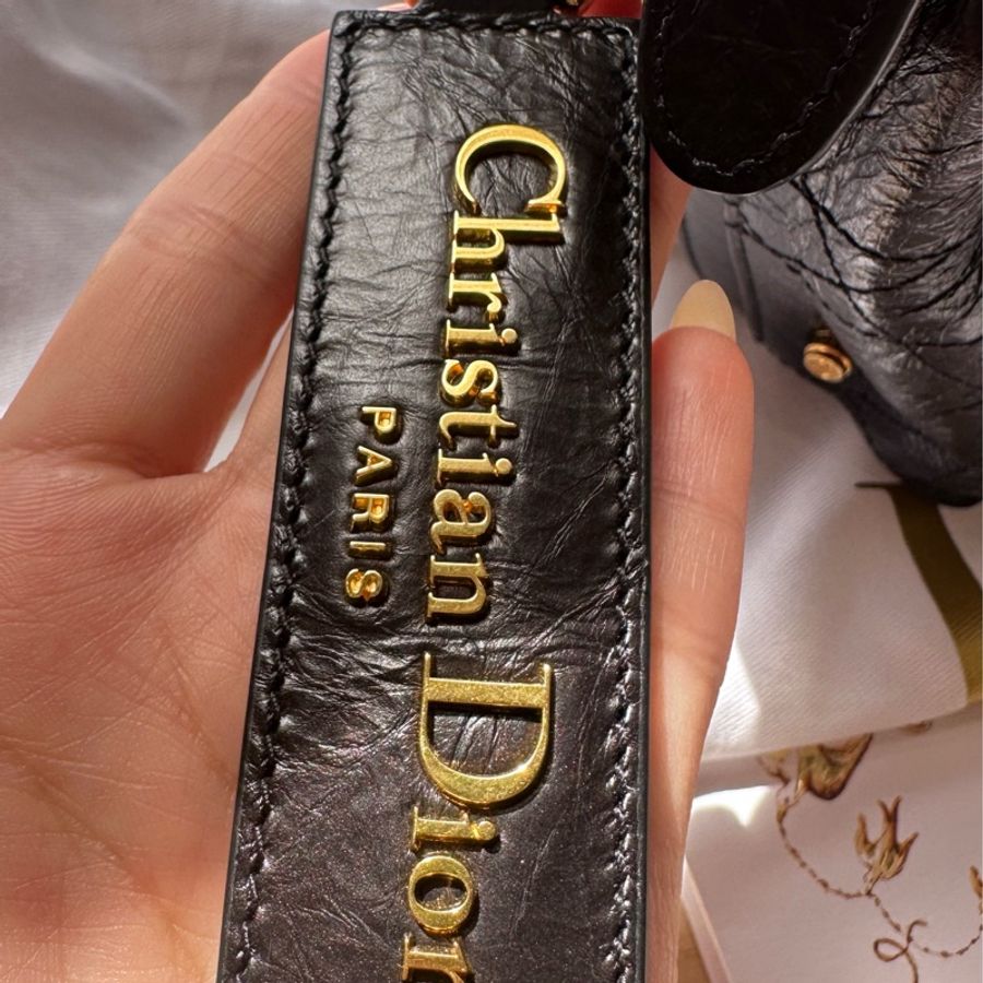 Dior皺面小牛皮 D-Journey小型包-26
