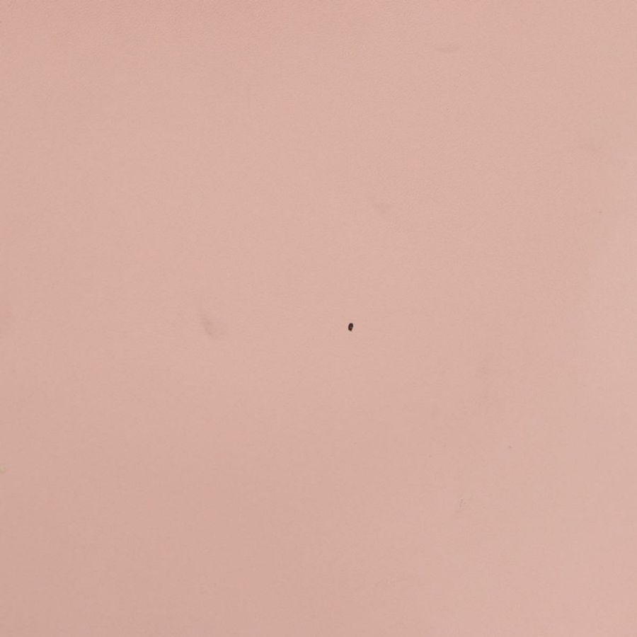 【日本直送】GUCCI Nim Fair 手提包 皮革 兩用 粉金 453767 正品 ka4024A-3