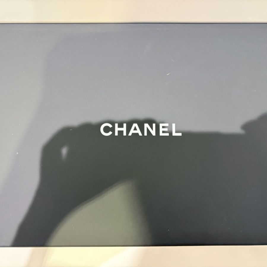 Chanel WOC 牛皮金扣經典款 牛金-27